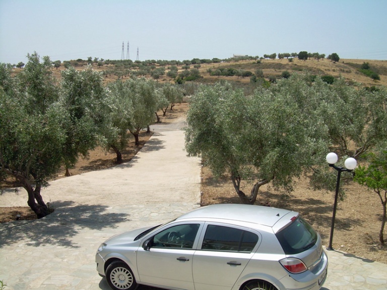 Oliivipuutarha